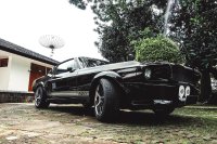 De Mustang in vogelvlucht